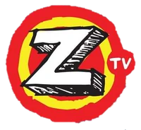 ZTV 2